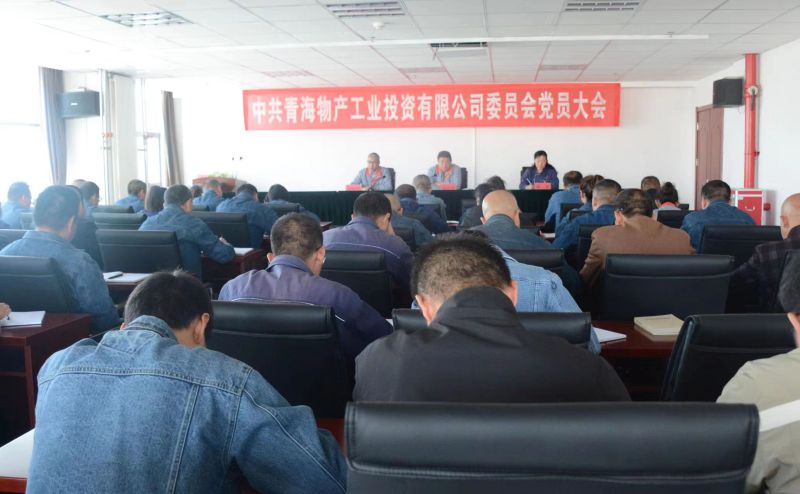 實(shí)干擔(dān)當(dāng)拼搏趕超 為奪取新時(shí)代物產(chǎn)工投綠色低碳高質(zhì)量發(fā)展新勝利不懈奮斗 &mdash;&mdash;物產(chǎn)工投公司黨委召開(kāi)換屆選舉大會(huì)