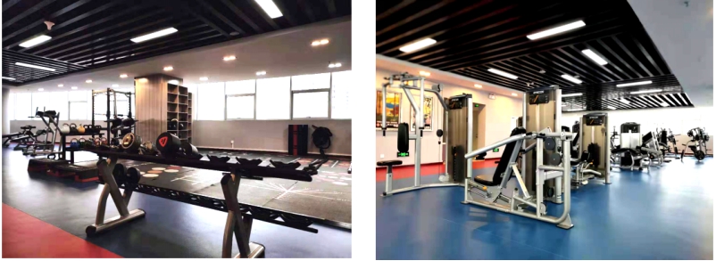 展運動風(fēng)采  鑄物產(chǎn)輝煌――&ldquo;青物集團健身中心&rdquo;開始試營業(yè)